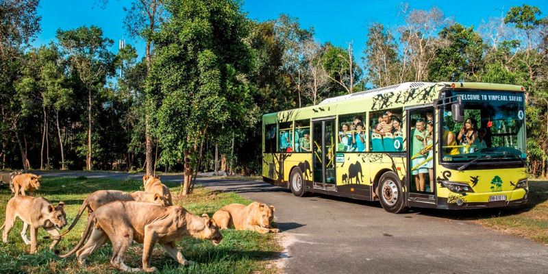 Visit Vinpearl Safari